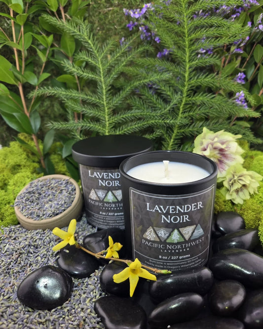 Lavender Noir - Deep Moisture Massage Candle