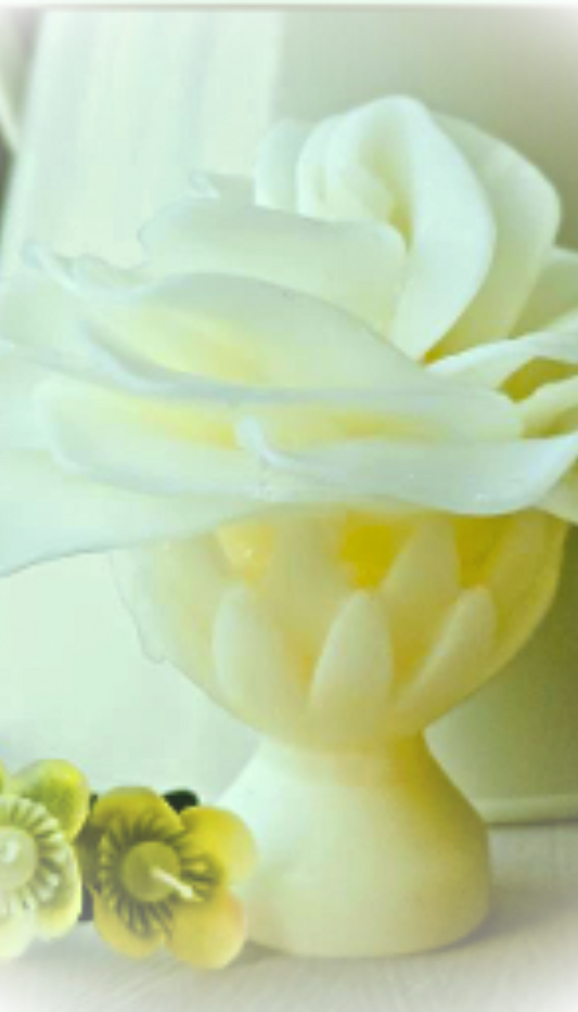 Graceful Day Gardenia (Petite)