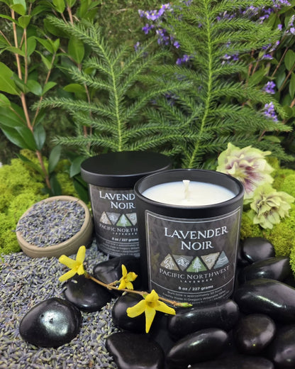 Lavender Noir - Deep Moisture Massage Candle